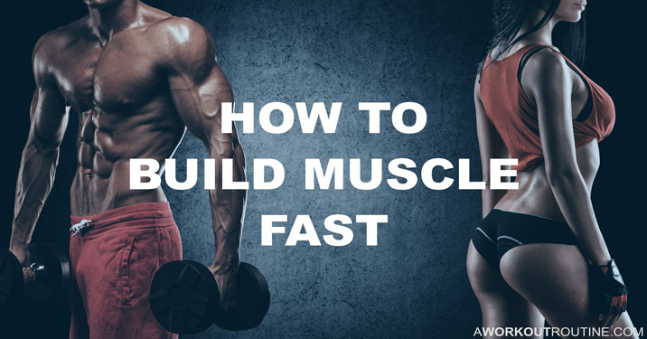 A Guide to Basic Bulking for Impressive Muscle Growth