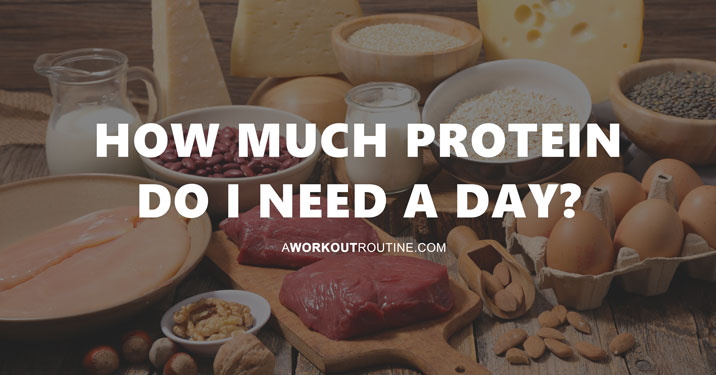 A Workout Routine Blog