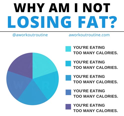 Why am I not losing fat?